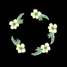 葉子邊框透明素材