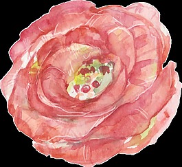 盛开花卉透明装饰素材