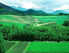 綠色田園風光背景素材
