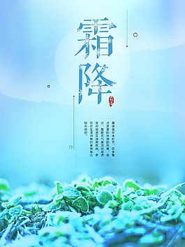 藍(lán)色簡(jiǎn)約二十四節(jié)氣霜降海報(bào)