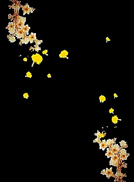 金色桅子花素材