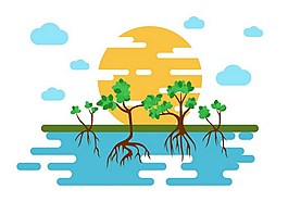 灌木植物矢量素材