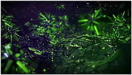 綠色光草動態(tài)視頻素材