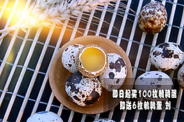 鵪鶉蛋海報(bào)