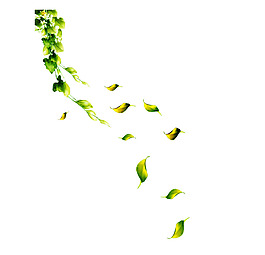 小清新綠葉漂浮元素