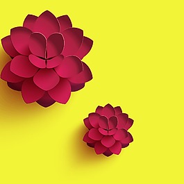紅色蓮花圖案