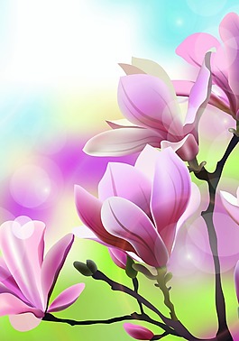 花卉小清新背景模版