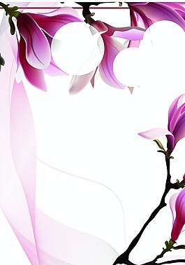 花朵花卉邊框背景模版