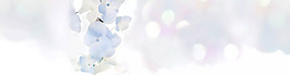 梦幻蓝色花朵banner背景素材