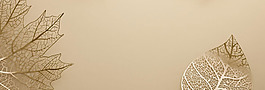手绘树叶banner背景素材
