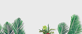 清新綠色植物banner背景素材