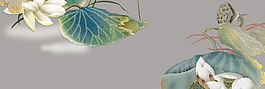 手绘荷花banner背景素材