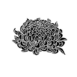 手繪線條花朵元素
