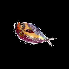 黃紫色水彩手繪金魚透明素材