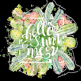 精致植物手繪透明素材