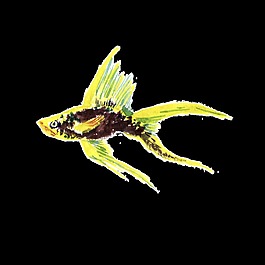 黃色魚水彩手繪透明素材