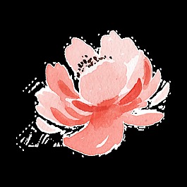 粉色花朵水彩手繪透明素材