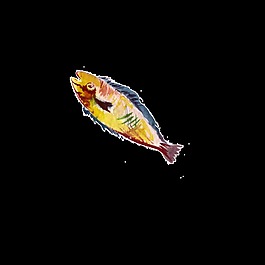 黃色魚水彩手繪透明素材