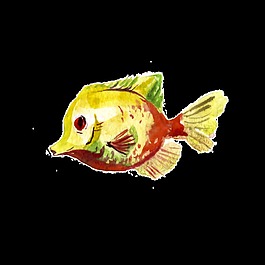 黃色魚(yú)水彩手繪透明素材