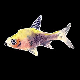 黃色魚水彩手繪透明素材