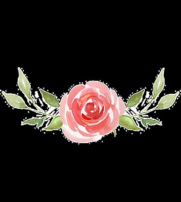 嬌羞花卉透明素材