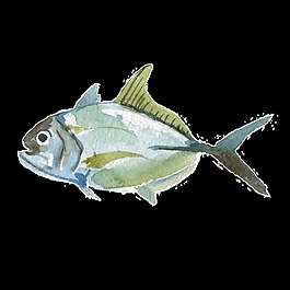 水彩手繪魚透明素材