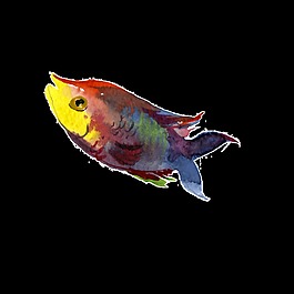彩色水彩手繪魚透明素材