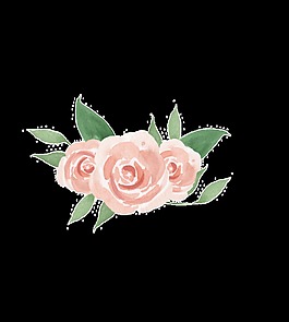 簡約花卉手繪透明素材