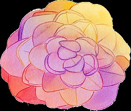 花卉矢量素材