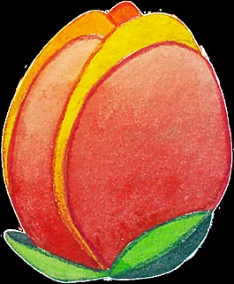 花卉矢量素材