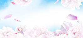 清新粉色花朵banner背景素材