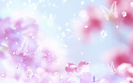 浪漫花朵蝴蝶banner背景素材