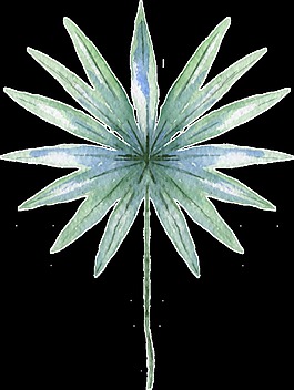 綠色清新手繪植物透明素材