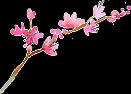 手繪冬日梅花透明素材