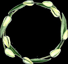 清新綠色植物圓環(huán)透明素材