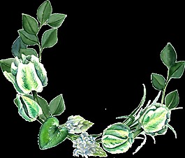 卡通清新绿色植物透明素材