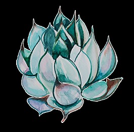 可愛(ài)手繪多肉植物透明素材