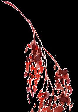 精美水墨畫(huà)素材