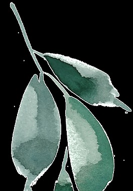 水彩葉子素材