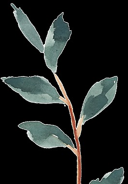 葉子素材