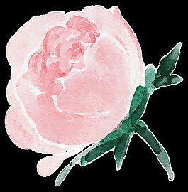 水彩花朵素材
