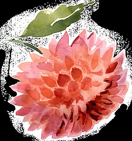 水彩花朵素材