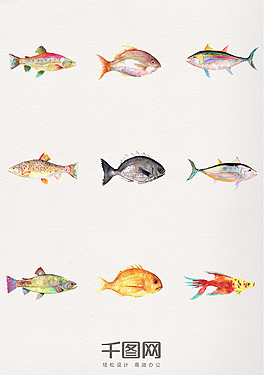 一組水彩動(dòng)物魚(yú)設(shè)計(jì)素材