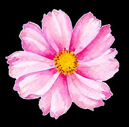 櫻花卡通透明素材