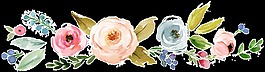 水彩鲜花透明素材