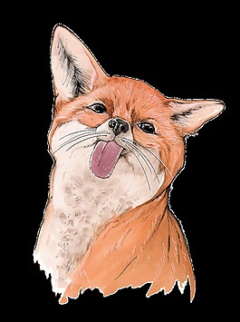 可愛狐貍通透明素材