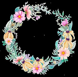 時(shí)尚夢(mèng)幻花卉卡通透明素材
