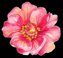 紅色花瓣卡通透明素材