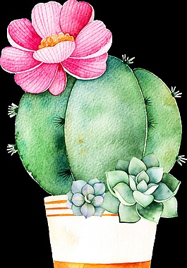 仙人掌家裝花卉卡通透明素材