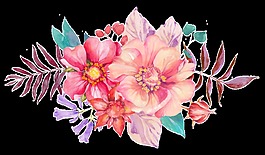 秀麗多彩花卉卡通透明素材